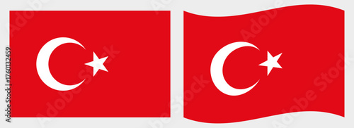 Türkiye flag wave and flat vector Illustration
Vector flag