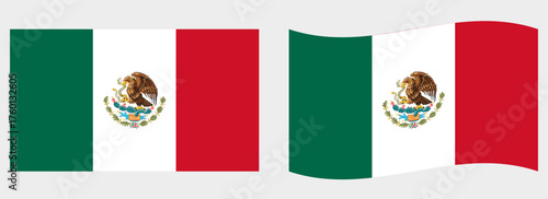 Mexico flag wave and flat vector Illustration
Vector flag
