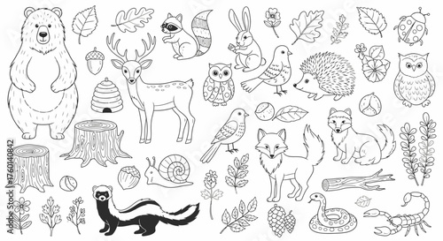 Hand Drawn Woodland Forest Animals & Nature Doodles Set - Black & White Outlines