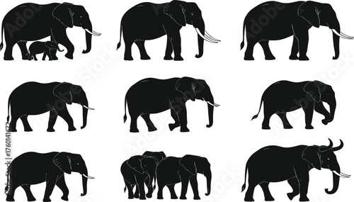 Elephant silhouette vector set showing family, tusks, trunk poses, walking groups, wildlife behavior, animal shapes, safari icons, nature themes
