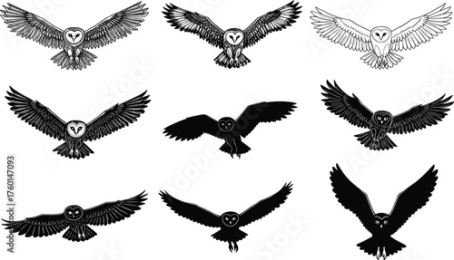 Flying owl silhouettes and detailed vector illustrations in grid layout, showcasing bird wing posture, nocturnal wildlife, and artistic nature design