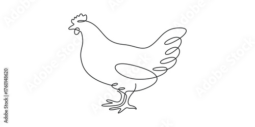 Continuous one line drawing of hen. Minimal outline hen for farm concept vector illustration