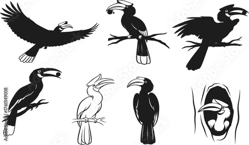 Hornbill bird vector set showing flight, perched, feeding, nesting, and detailed casque poses in black and white wildlife style