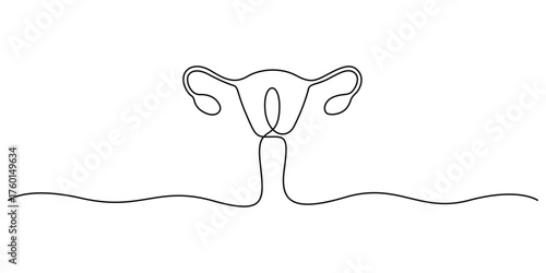 Continuous one line drawing of women's Uterus and Ovary. Single line art Female reproductive system. Vector illustration