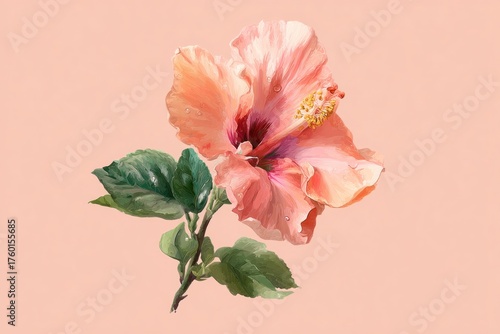 Fototapeta Naklejka Na Ścianę i Meble -  watercolor illustration of hibiscus bloom with tropical vibe, pastel peach background, minimal summer floral art