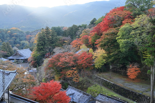 beautiful autumn colours, autumn trees with temples in village in countryside of Nara, Japan