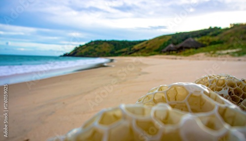 Closeup of Seafoam Honeycomb Structure on Sandy Beach