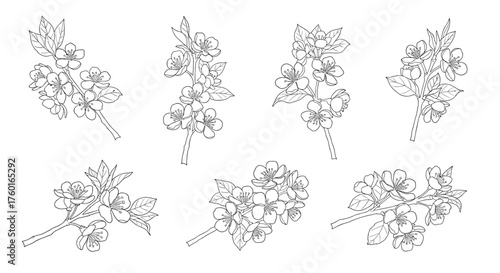 Beautifully drawn delicate floral branches with blossoms and leaves in a sketch style.