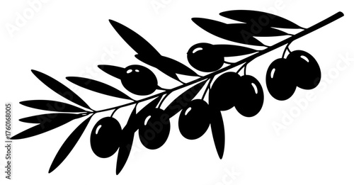 Silhouette Olive Branch with Leaves and Fruit – Peace Biblical Symbol Vector