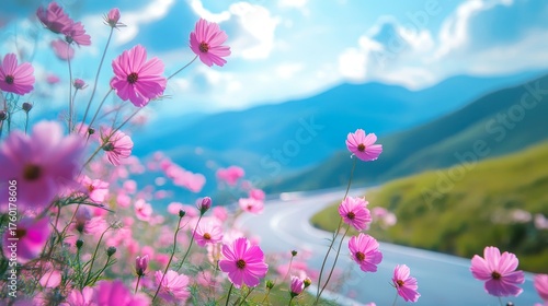 View of pink cosmos flowers framed by car window overlooking winding road and mountain scenery