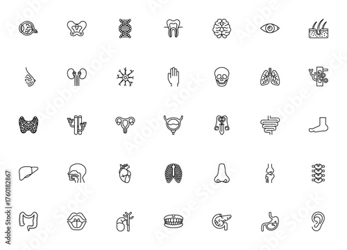 Human Organ icon set. Minimal linear vector illustraions. Includes symbols forbrain, heart, lung, kidney stomach, liver, eye, toot, skeleton, dna and more. ditable stroke.
