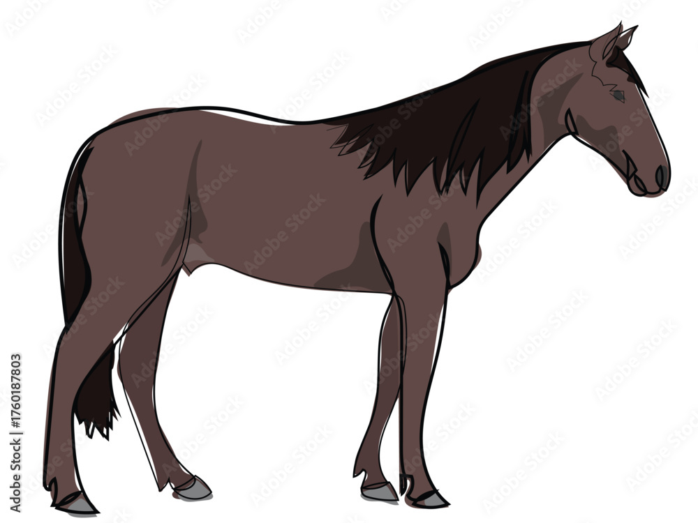 Obraz premium Horse in continuous line drawing