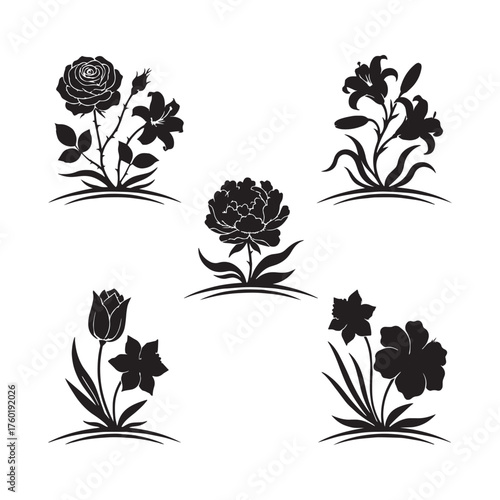 Fower illustration for white background.