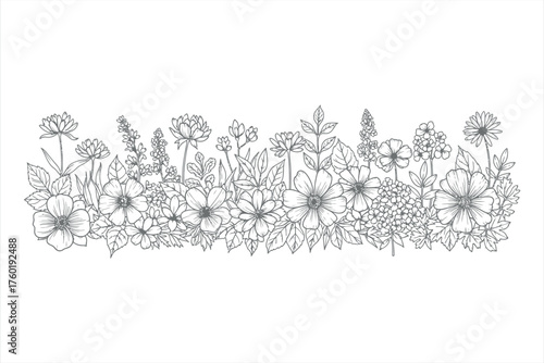 Floral Border Illustration