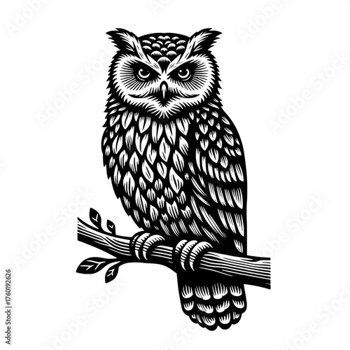 detailed black and white illustration of an owl perched on a branch