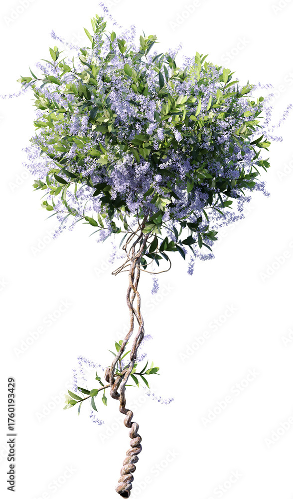 Naklejka premium tree, isolated, plant, nature, leaf, branch, white, leaves, flower, spring, herb, foliage, summer, environment, garden, growing, grass, wood, season, nobody, stem, 3d, heather