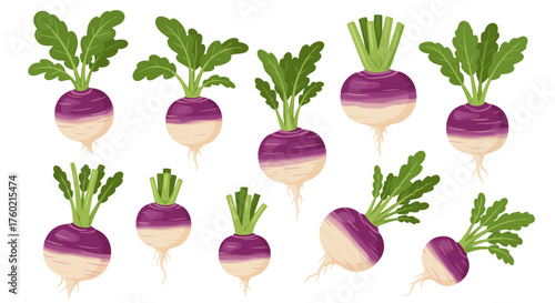 A collection of various purple and white root vegetables with green leafy tops is displayed.
