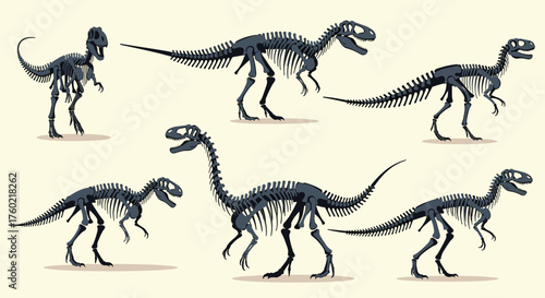 Six distinct dinosaur skeletons are depicted in a variety of poses and sizes.