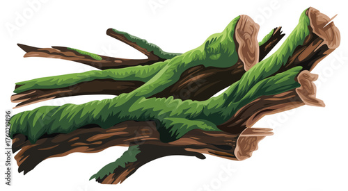 Mossy logs in natural woodland environment, ideal for forest floor textures, earthy background