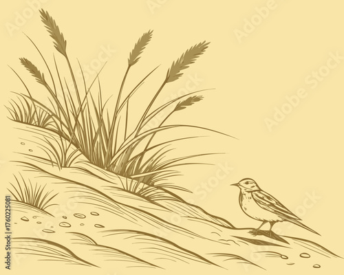 Bird perched near grass and sand dune on a sunny day