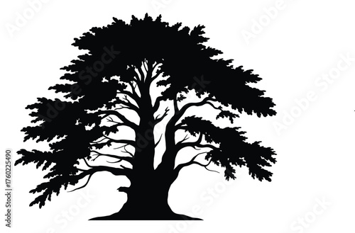 Cypress tree silhouette artwork featuring slender pointed form and tranquil sky – timeless natural beauty illustration