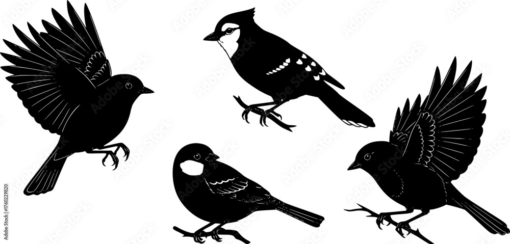 Obraz premium North American European Backyard Bird Silhouettes Set, Nature Vector