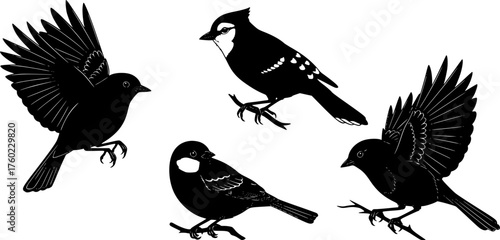 North American European Backyard Bird Silhouettes Set, Nature Vector