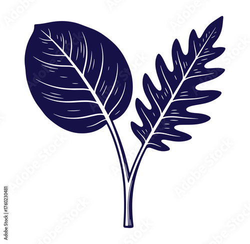 Elegant hand drawn dark blue leaves botanical illustration isolated on white background