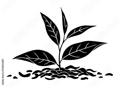 Minimalist Tea Leaf Pattern Vector, Beverage Ceremony Design, White Background