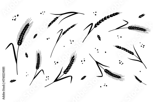 Grain uneven vector element segment sprig icon barley silhouette scattered wild