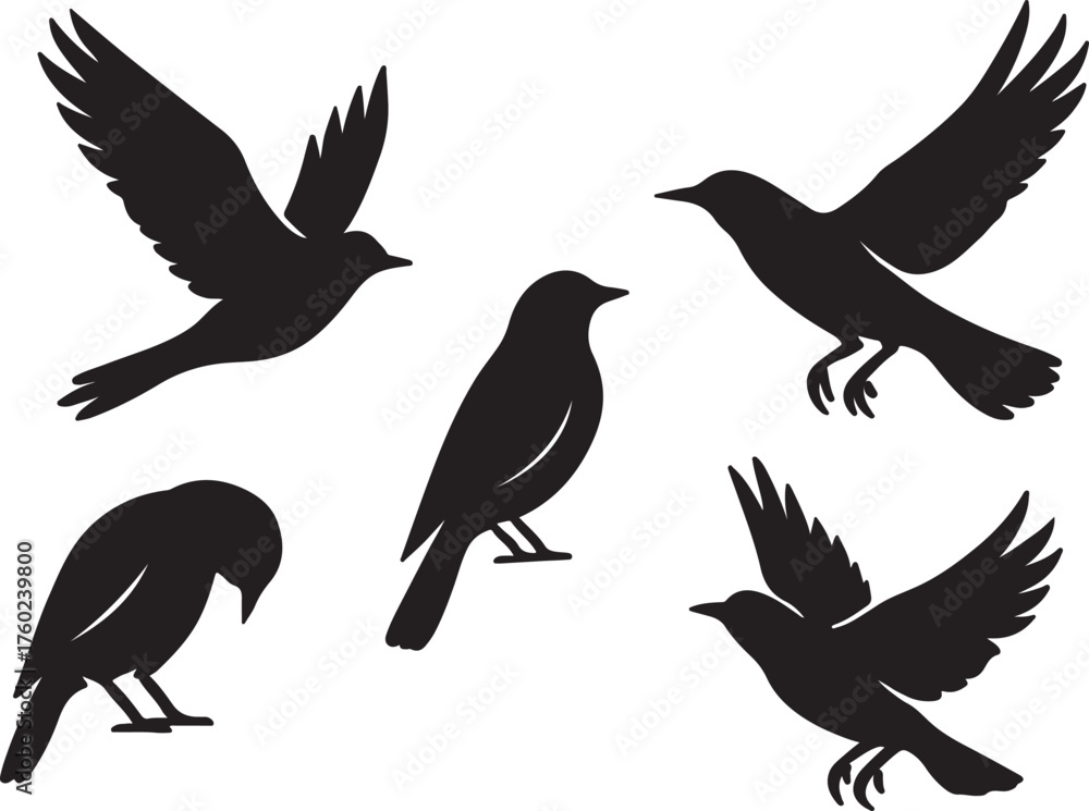 Obraz premium Collection of five black bird silhouettes in various poses silhouette