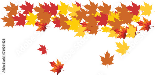 A vibrant pattern of colorful autumn maple leaves creates a beautiful nature background design and border