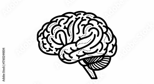 Detailed side view vector illustration of the human brain with cerebrum and cerebellum, in a clean black and white outline style, symbolizing thought, learning, and mind.