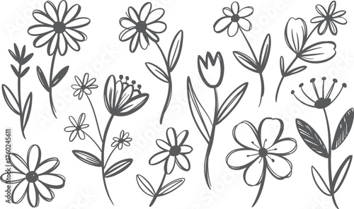 Hand Drawn Floral Doodle Set with Different Flower Types in Black and White