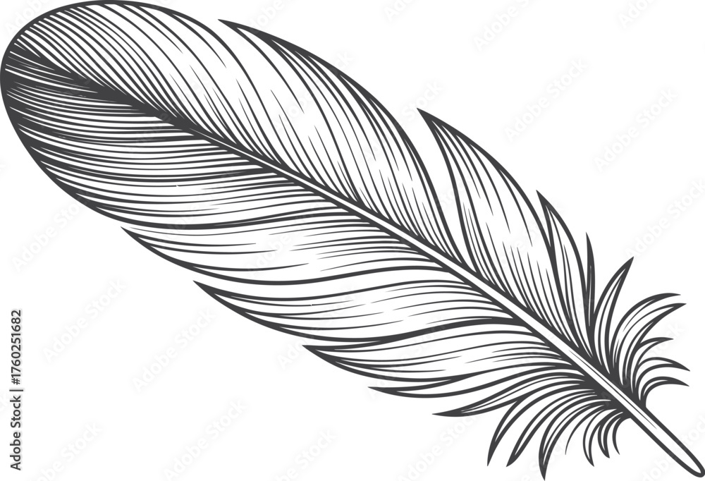 Fototapeta premium Detailed Feather Icon – Elegant Line Drawing of a Bird Feather