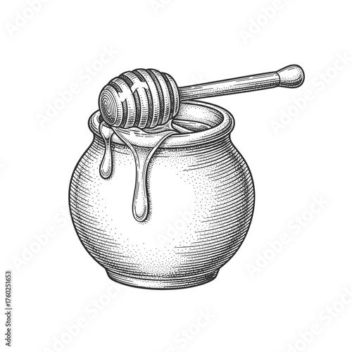 Vintage Hand Drawn Honey Jar with Dipper | Sweet Natural Honey Illustration | Beekeeping Sketch Art
