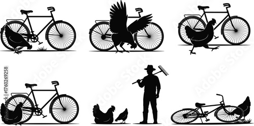 Chicken and bicycle silhouette set, farm animal vector, funny chicken poses, rural life illustration, black graphic icons, humorous farm scene