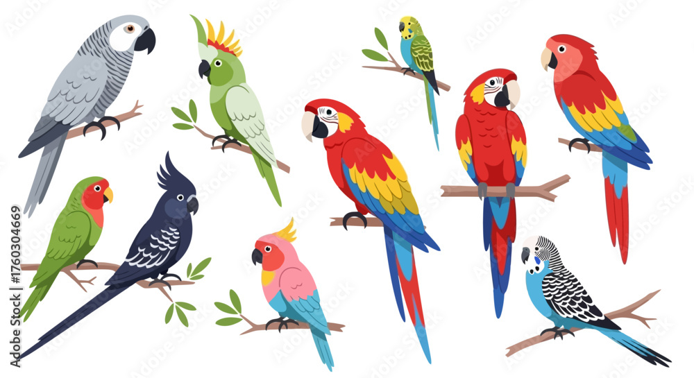 Fototapeta premium Exotic Parrots Collection Colorful Bird Species on Branches Illustration