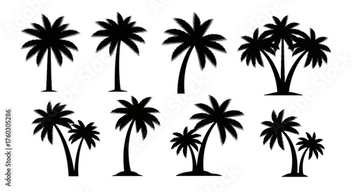Tropical Silhouette Palm Trees Collection for Island Vibes