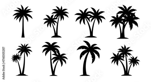 Silhouetted Palm Trees Vector Set Tropical Summer Vacation Icons
