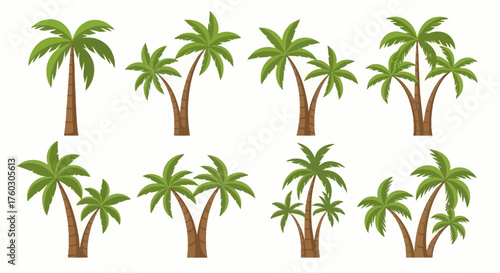 Palm Tree Vector Illustration Set Tropical Paradise Graphics