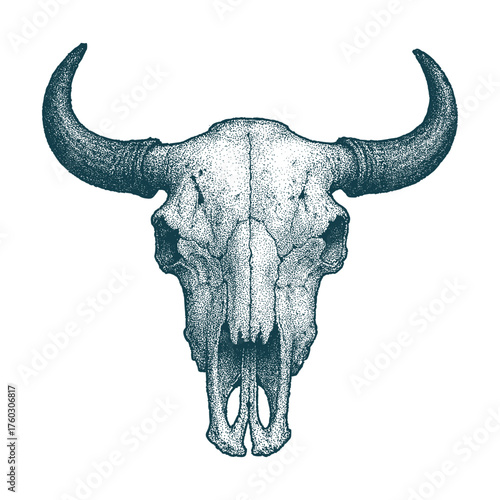 Vintage Bull Skull Illustration