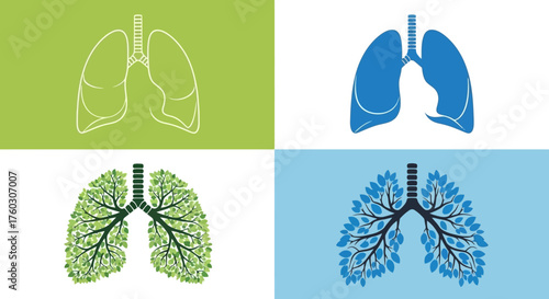 Lungs Wellness Anatomy, Function, and Health Concepts