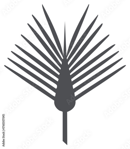 Palm frond in a stylish silhouette. Tropical palm leaf vector isolated on the white background. Nature of tropics summer element.