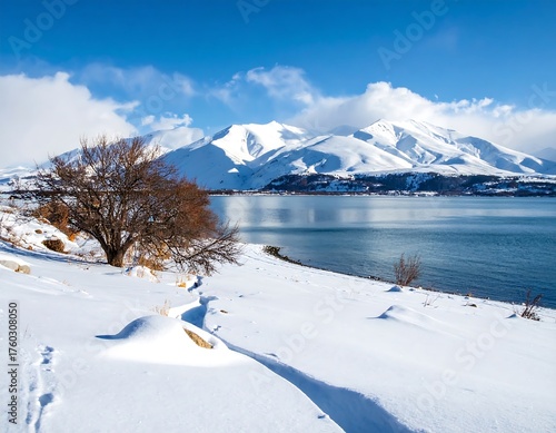 A serene winter scene with snow-covered mountains, a calm lake reflecting the sky, and a few bare trees. The foreground is blanketed in snow
