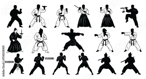 Martial Arts Silhouettes Diverse Fighting Styles in Black & White