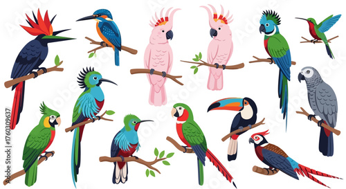 Vibrant Avian Diversity A Colorful Collection of Tropical Birds Perched on Branches