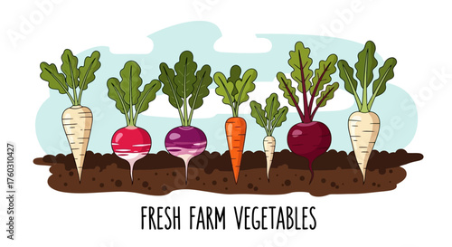 Fresh Farm Vegetables in Ground Illustration