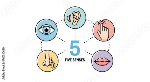 Illustration depicting the five human senses sight, hearing, smell, touch, and taste