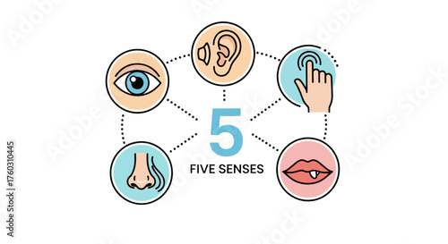 Five Senses Illustration Sight, Hearing, Smell, Touch, Taste Icons